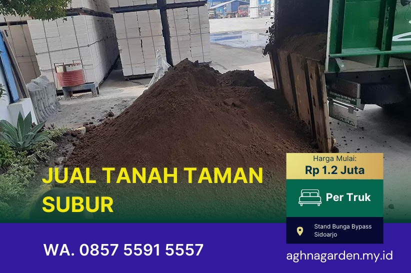 Jenis-Jenis Tanah Terbaik untuk Taman yang Subur