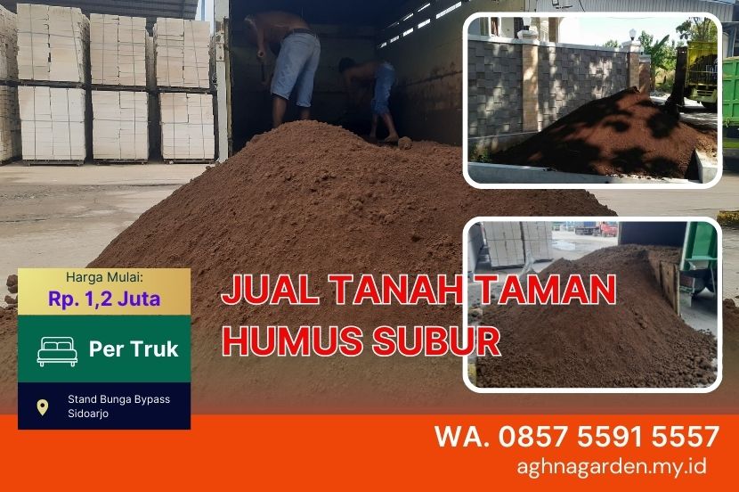 Harga Tanah Taman Bangil 1 Pick Up